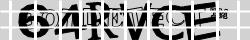 Saisissez les caractères de l'image