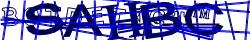 Saisissez les caractères de l'image