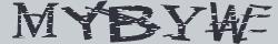 Saisissez les caractères de l'image