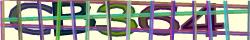 Saisissez les caractères de l'image