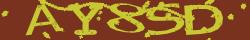 Saisissez les caractères de l'image