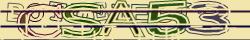 Saisissez les caractères de l'image