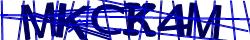 Saisissez les caractères de l'image