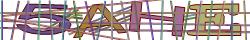 Saisissez les caractères de l'image