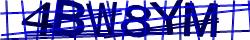 Saisissez les caractères de l'image