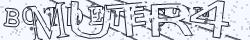 Saisissez les caractères de l'image