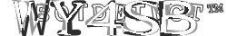 Saisissez les caractères de l'image