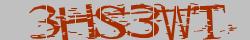 Saisissez les caractères de l'image