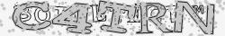 Saisissez les caractères de l'image