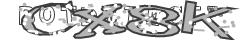 Saisissez les caractères de l'image