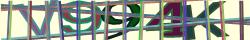 Saisissez les caractères de l'image
