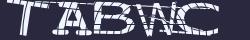 Saisissez les caractères de l'image