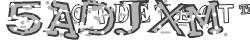 Saisissez les caractères de l'image