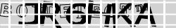 Saisissez les caractères de l'image
