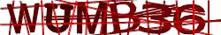 Saisissez les caractères de l'image