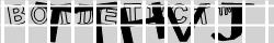Saisissez les caractères de l'image