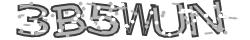 Saisissez les caractères de l'image