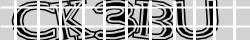 Saisissez les caractères de l'image